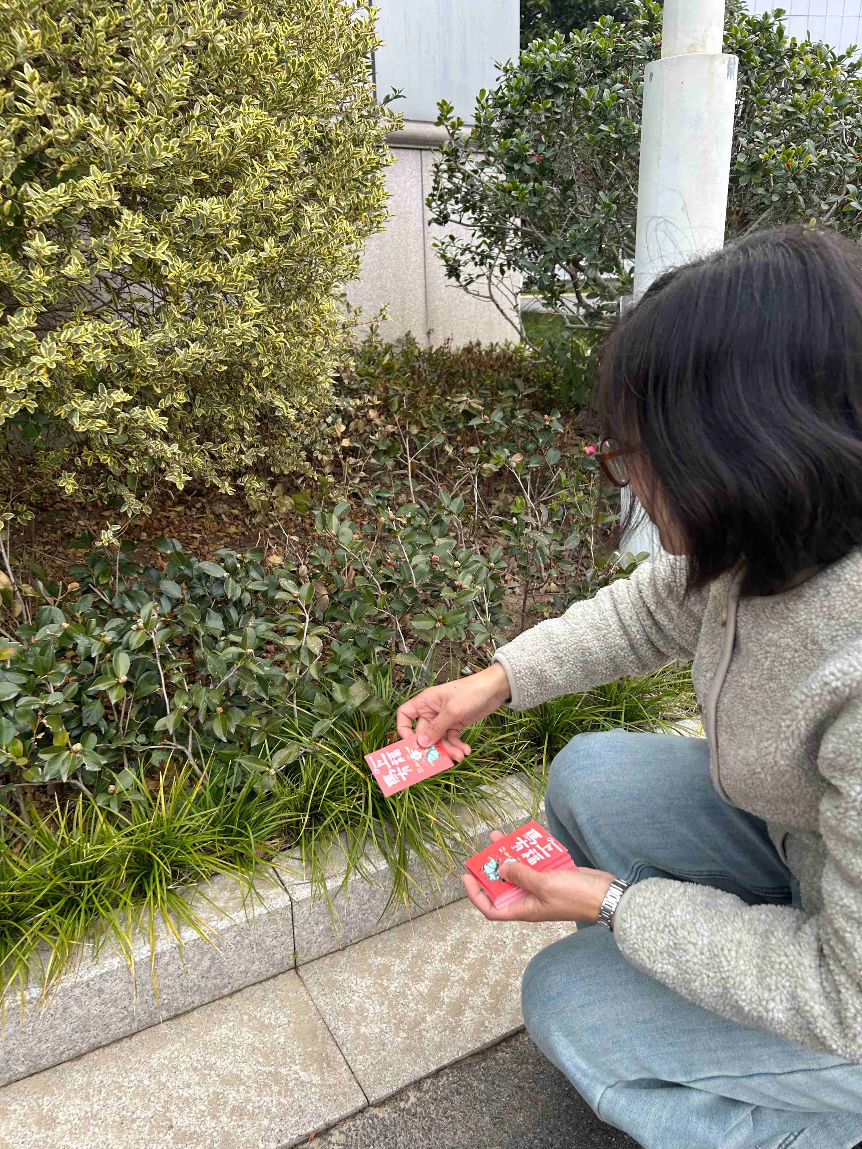 1768550086584309mOPa.jpg 3(1).jpg