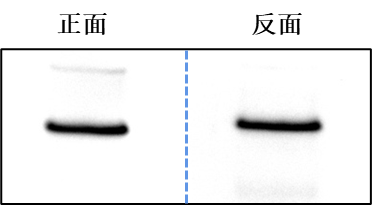 1772605291819701K94N.png 圖片8.png